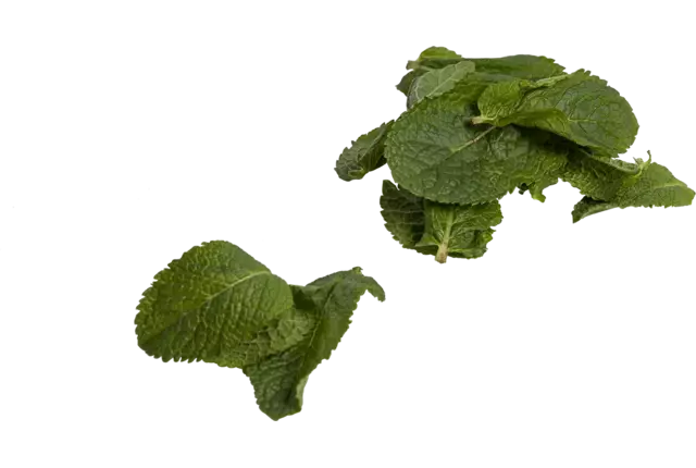 Mint blaadjes bak 250gr stuk